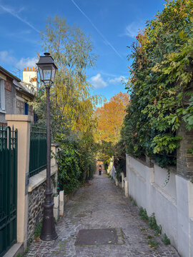 Steep Mouzaia cobblestone alley in Paris 19th district France