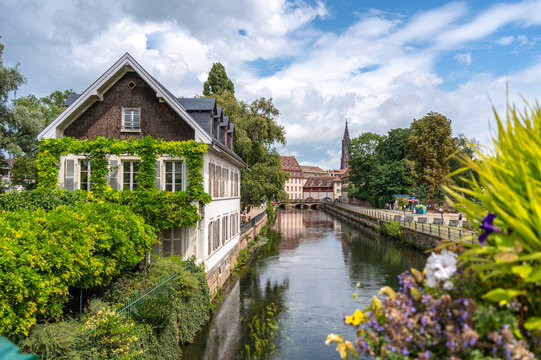 House covered with green ivy by the canal Strasbourg, France