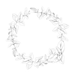 Fototapeta premium Aromatic herbs and edible greens, Mediterranean harvest plants with realistic leaves, culinary ingredients. Isolated hand drawn pencil wreath frame. Farm-to-table publications, cooking classes