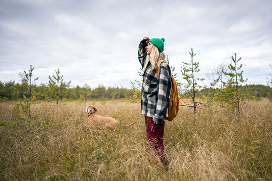 Calm woman owner strolling with Vizsla dog through autumn peat bog, surrounded by dry tall grasses, looking thoughtfully into distance. Female enjoying silent peaceful northern swamp nature