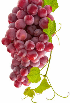 Grappe de raisin ros&eacute;