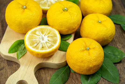 Fresh Sweet Yuzu Orange fruit on wooden plate, Kochi Yellow Yuzu over wooden background.