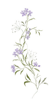Hand-painted watercolor vertical wildflower bouquet with lilac phlox blooms, green leaves and airy white seedheads layered over staggered pale sage rectangles on white background. Modern collage style