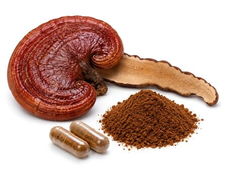 Reishi Mushroom Powder and Capsules as Herbal Wellness Supplement
