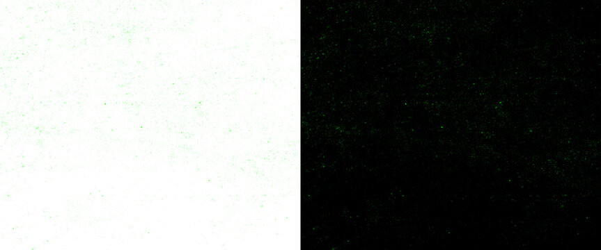 Minimalist split screen background, high contrast black and white texture, abstract dual tone graphic template