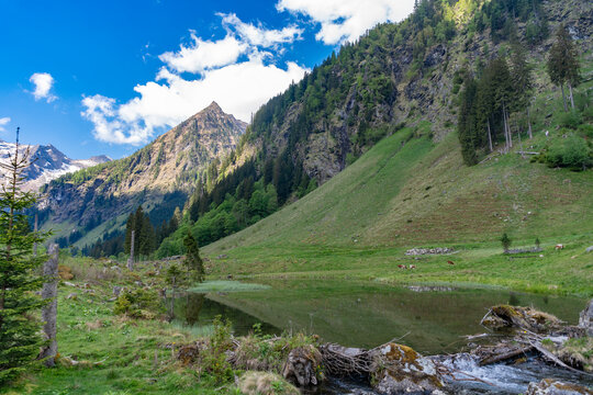 Scenic nature river flow. Picturesque waterfall creek. Nature wildness. River flow cascade. Wild creek flow scene. Waterfall river nature. Landscape with waterfall river cascade