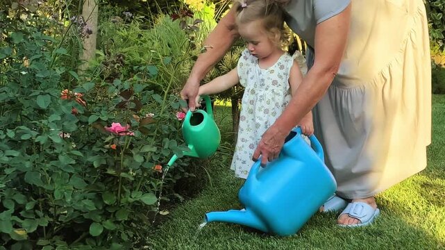 Grandmother and toddler granddaughter water flowers together in a garden, family gardening, childhood learning, nature care and summer bonding.