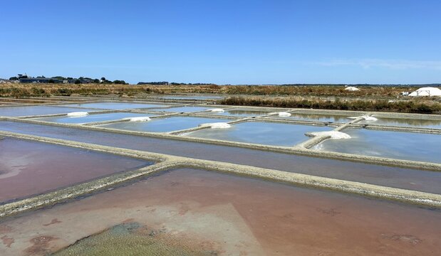 marais salants de Gu&eacute;rande