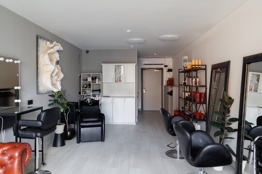 Spacious Styling Area With Greenery. Bright Salon With Neutral Tones And Professional Setup For Clients