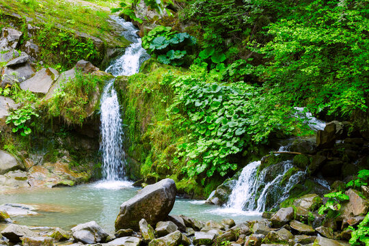 Lush green forest with cascading waterfalls and clear water pools