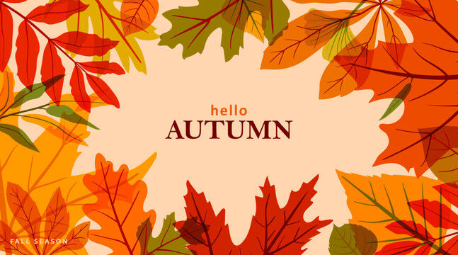 Autumn leaves frame with Hello Autumn text. Seasonal vector background design featuring vibrant maple, oak, rowan foliage border with copy space for banner or poster