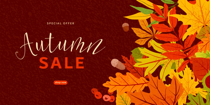 Autumn sale banner background with colorful fall leaves. Vector horizontal template with maple, oak foliage, calligraphic text, dark textured background, perfect for seasonal discount promo