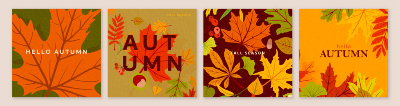 Autumn leaves square social media posts and background templates set with colorful fall foliage. Seasonal vector backgrounds with maple leaves and noise texture, ideal for instagram posts and cards