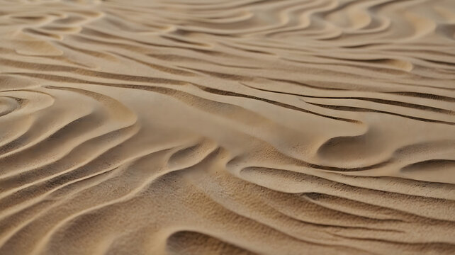 Abstract lines pattern on soft desert sand