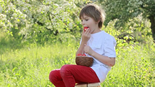 Beautiful blond child, boy, eating strawberries and gathering flowers