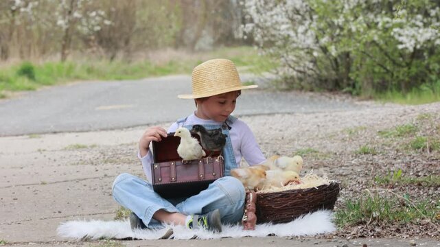 Cute sweet little blond child, toddler boy, playing with little chicks in the park, baby chicks and kid springtime