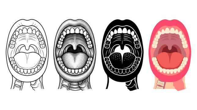 Human mouth and throat anatomy in four designs outline engraving silhouette and color vector illustration