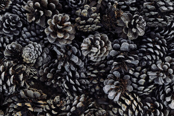 Natural Pine Cone Texture Background with Dark Forest Tones © Ira_Shpiller
