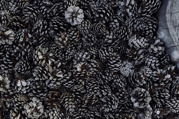 Natural Pine Cone Texture Background with Dark Forest Tones © Ira_Shpiller