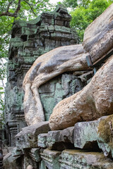 Obraz premium temple de Ta Prohm, complexe d'Angkor, Siem Reap, Cambodge