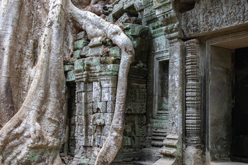 Obraz premium temple de Ta Prohm, complexe d'Angkor, Siem Reap, Cambodge