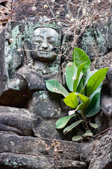 Obraz premium sculpture dans le complex d'Angkor, Siem reap, cambodge