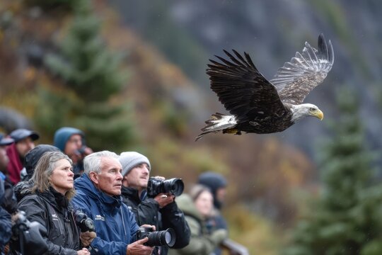Bald eagle flying over photographers capturing wildlife in natural habitat
