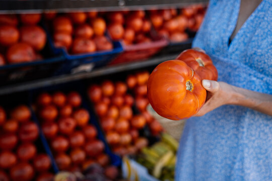 Selective Midlife Woman Comparing Large Ripe Tomatoes at Fresh Produce Market in Spain