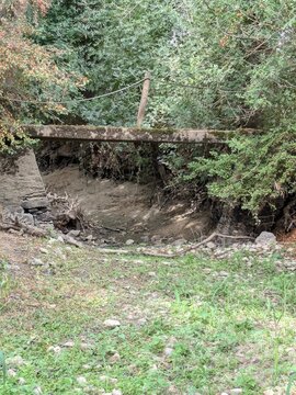 Petit pont en bois au c&oelig;ur d&rsquo;un sentier forestier entour&eacute; de v&eacute;g&eacute;tation