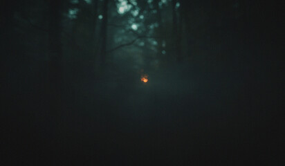 An atmospheric forest-noir inspired blur combining moss-green darkness with a distant drifting warm light, blurred background texture © chirag