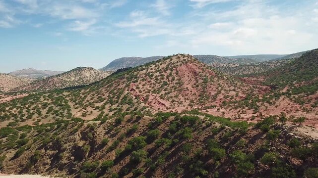 Aerial view of Argan trees covering the red hills of the Moroccan landscape under a bright blue sky in Morocco.