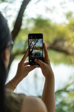 Woman capturing nature scene with smartphone in park