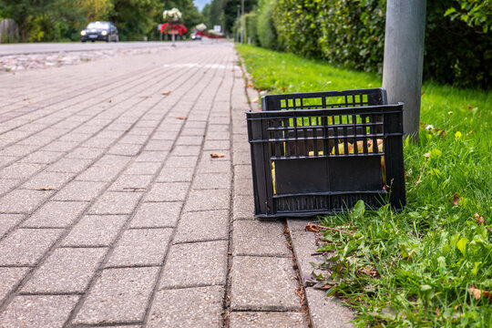 Free Apples in a Roadside Crate for Locals and Visitors