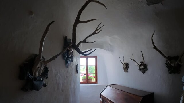 Hunting trophies decorating a dimly lit hallway inside  at Predjama Castle