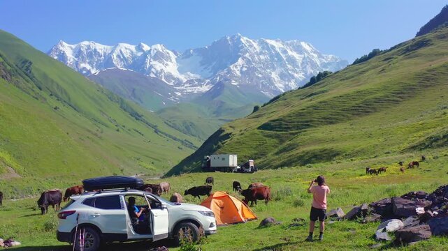 Travelers camp in hovering aerial view beside an SUV, orange tent and grazing cattle beneath Shkhara near Ushguli, supporting car camping, adventure tourism and remote Georgian mountain travel.