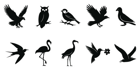 Naklejka premium Collection of ten black bird silhouettes including eagle owl and flamingo on a solid black
