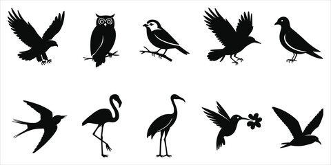 Naklejka premium Collection of ten black bird silhouettes including eagle owl and flamingo on a solid white
