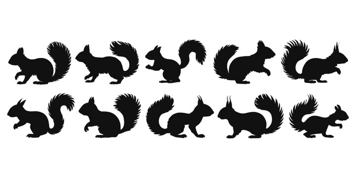 Collection of ten black squirrel silhouettes in various poses, isolated on a black background animal