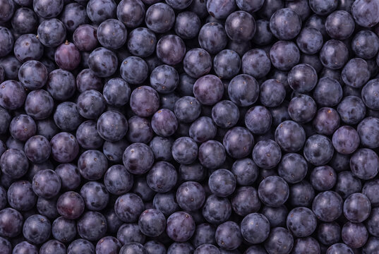 Fresh Purple Grapes Forming Natural Fruit Pattern