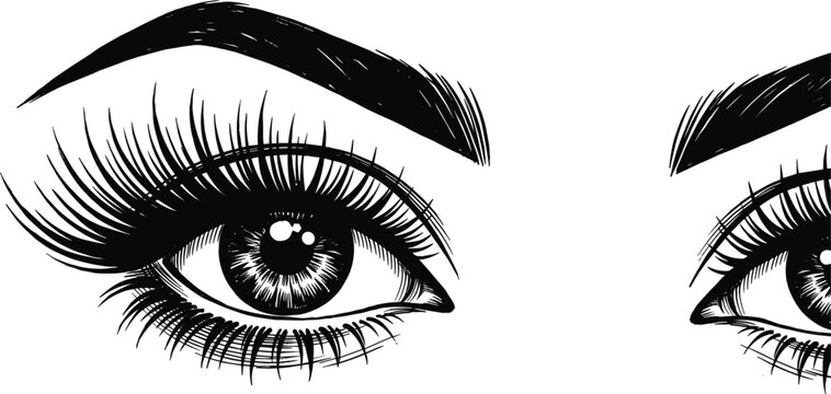 Beautiful female eyes with long eyelashes and shaped eyebrows vector illustration for beauty salon makeup cosmetics branding