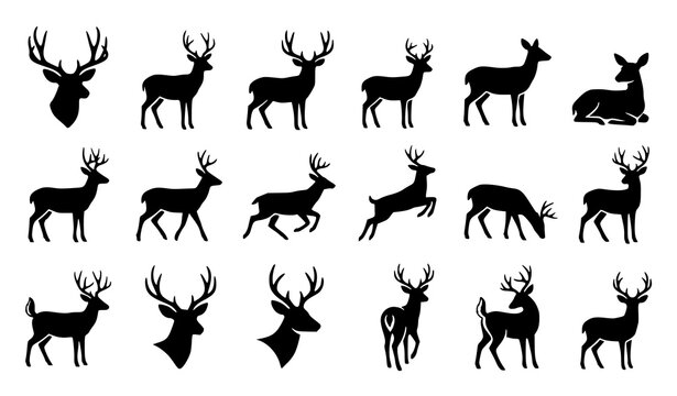 Minimal mule deer silhouette icons, black buck doe and wildlife flat vector set
