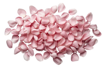 Fototapeta premium Dense Cluster of Pink Rose Petals