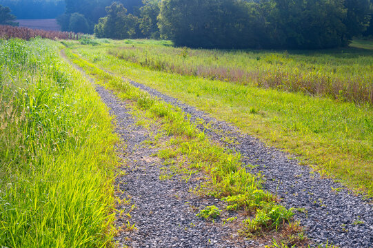 Single lane gravel road winds its way through grassy fields, Hiwassee Wildlife 