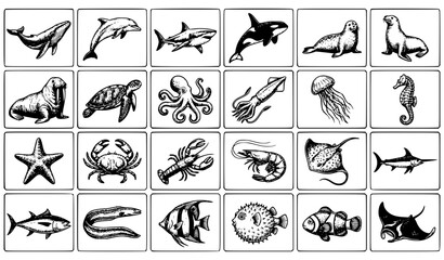 Fototapeta premium Sea animals collection with whale dolphin shark octopus turtle and marine creatures vintage vector set