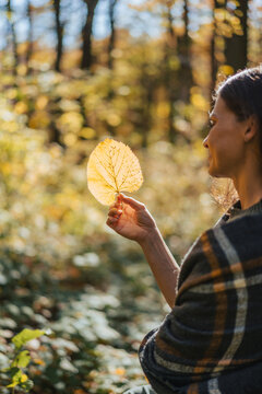 Young Caucasian female looking at a vibrant fall leaf in her hand with a blurred forest background, selective focus.