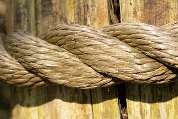 rope in the sun © crista