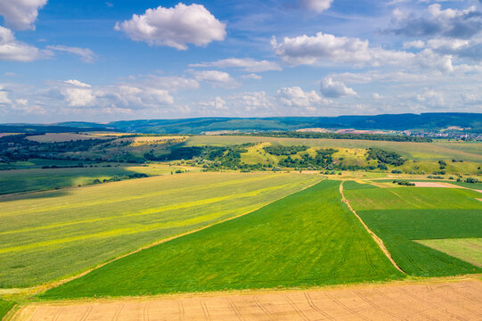 Top view of the wheat field and green fields on the hills in summer