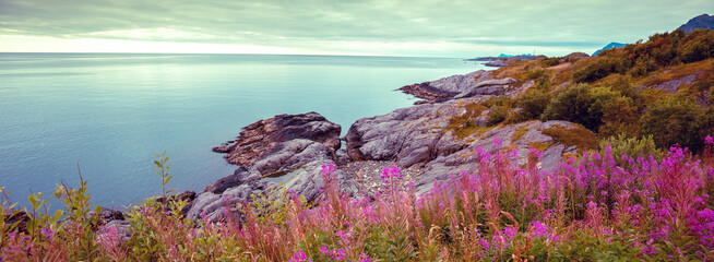 Naklejka premium Blooming pink willow flowers on a rocky seashore with dramatic evening sky