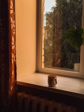 Mug on windowsill beside houseplant in warm golden evening light, cozy home interior.