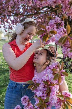 Two girls laughing together under a blooming cherry tree in spring